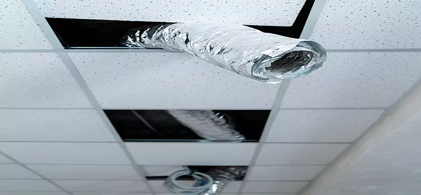 Our Air Duct Pet Hair Removal Services in Saratoga, CA