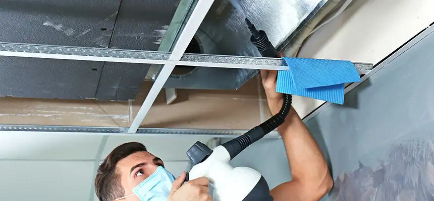 Our Air Duct Rodent Removal Services in Saratoga, CA