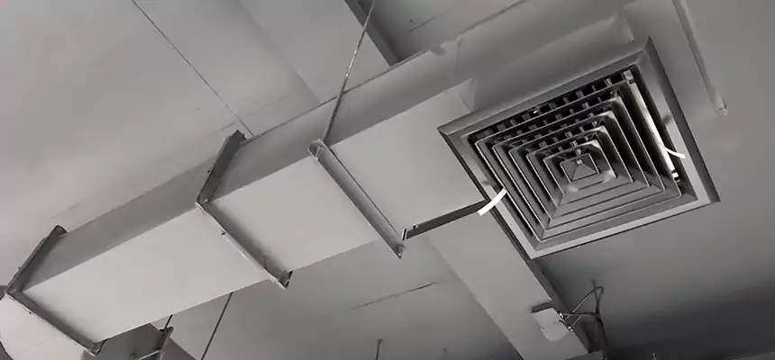 Our Pest Removal From Ducts Services in Saratoga, CA