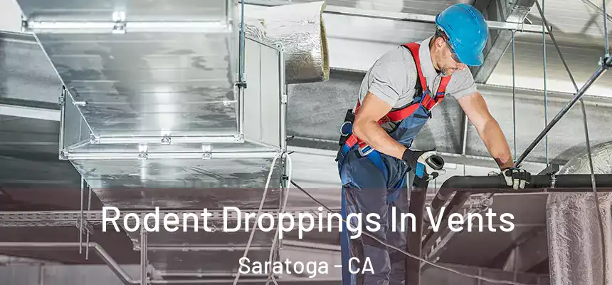  Rodent Droppings In Vents Saratoga - CA