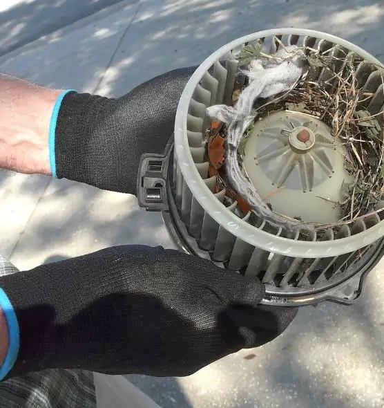 About Air Duct Rat Removal in Saratoga, CA