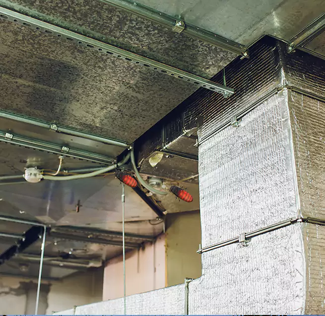 Why Homeowners & Businesses Trust Us Saratoga, CA?